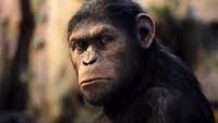 Dawn of the Planet of the Apes Film - Andy Serkis, who played Caesar in the first film, has signed on for the sequel. Director Rupert Wyatt is also expected to return.
