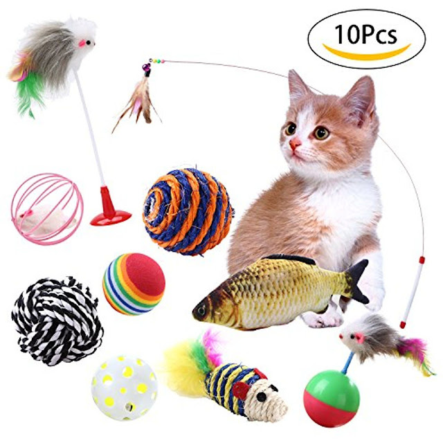Cat Toy Buying Guide