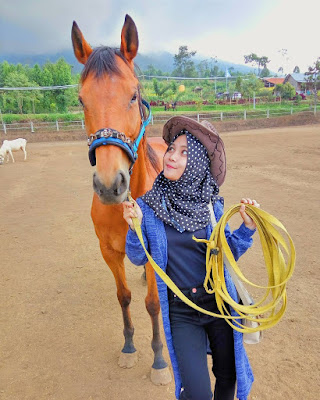 peternakan kuda batu malang peternakan kuda batu malang