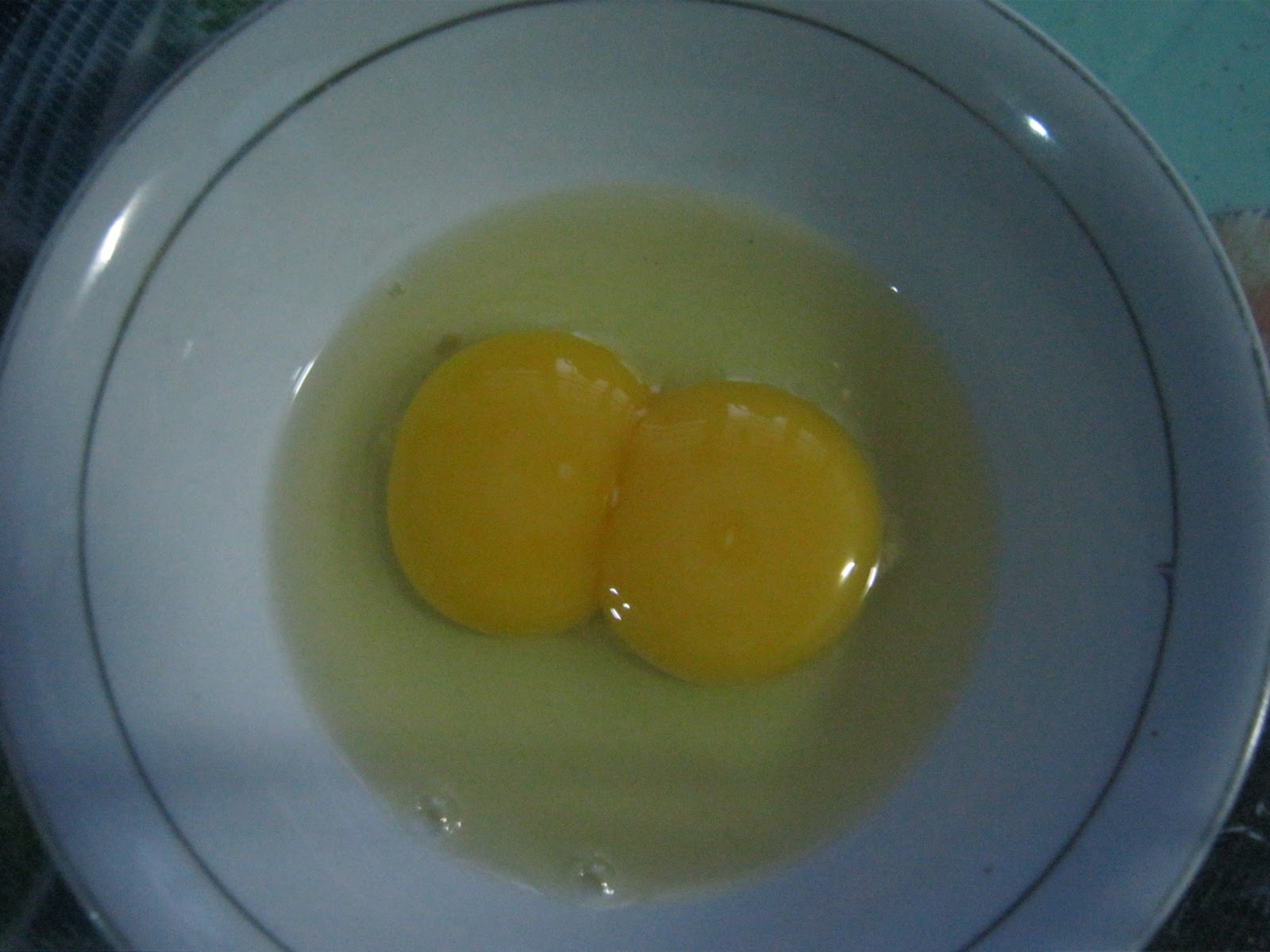 E2=Educational & Entertainment Hub Weird and Bizarre Eggs DoubleYolk