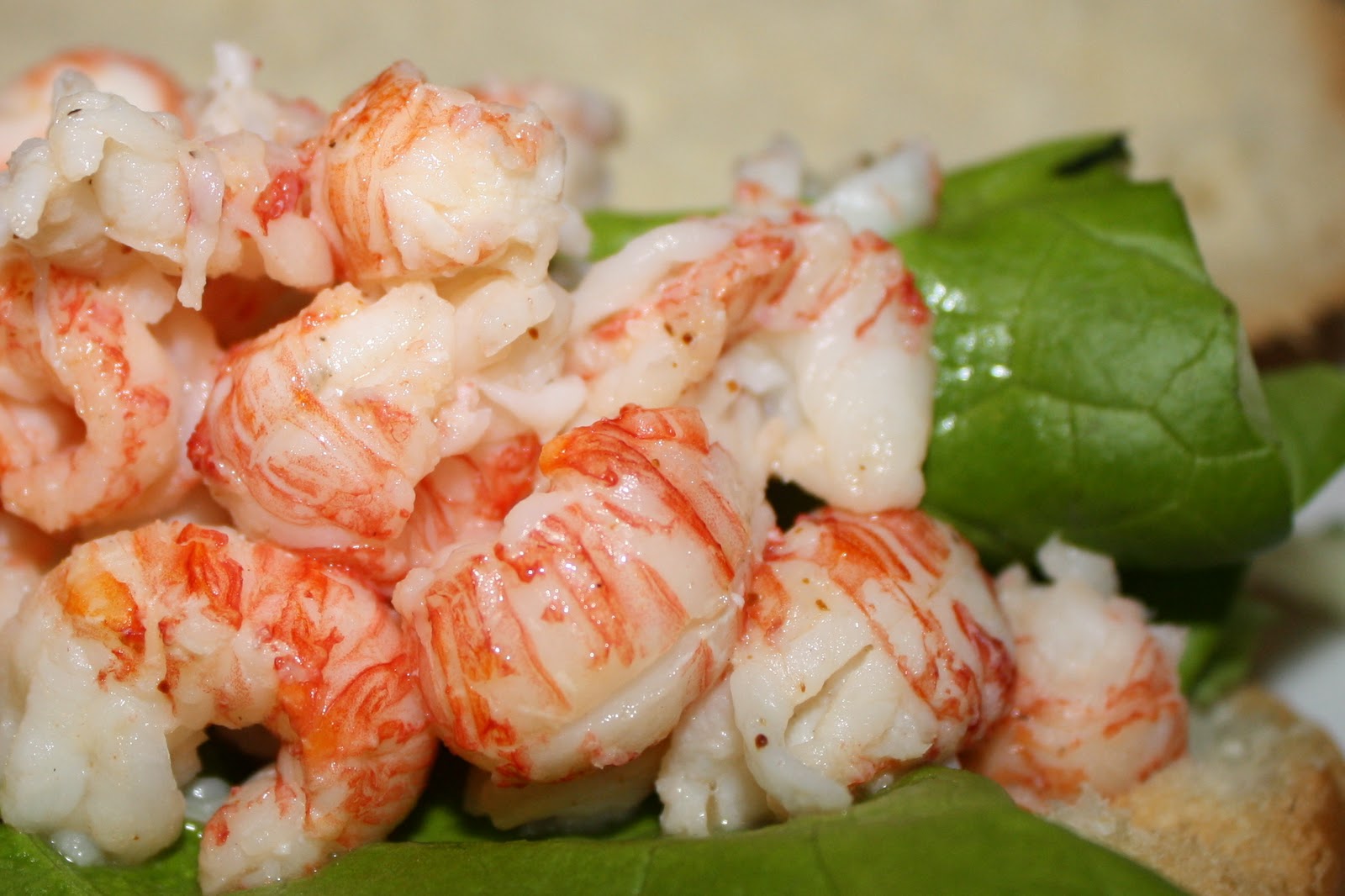 An Immovable Feast Trader Joe's Langostino Lobster Rolls and Lobster