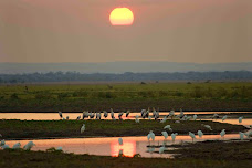 Aves- Moçambique