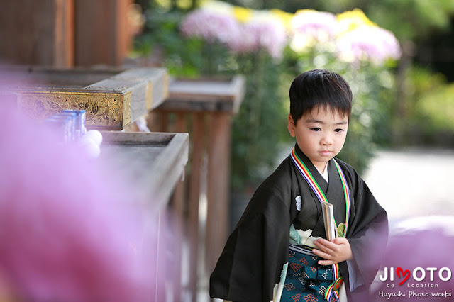 大神神社の七五三出張撮影