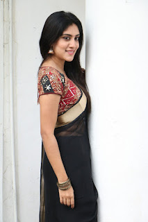 Dhanya Balakrishna Stills at Software Sudheer Success Meet Dhanya Balakrishna Stills at Software Sudheer Success Meet