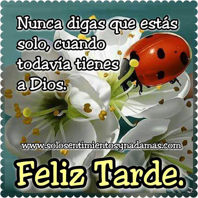 Feliz tarde.