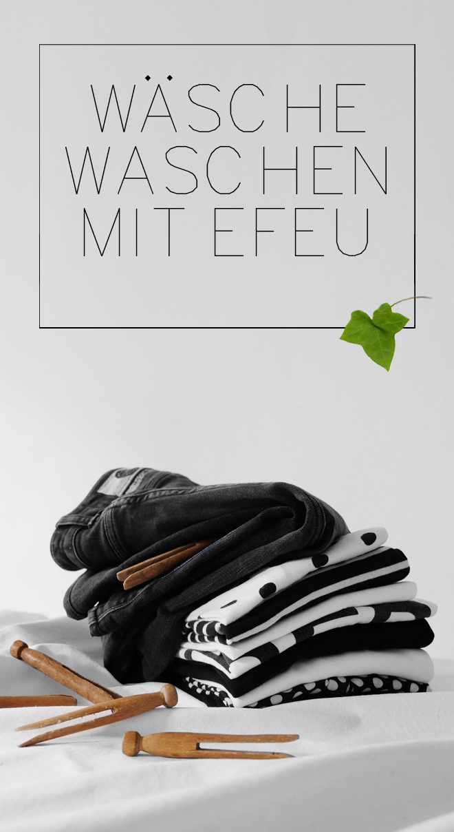 Wäschewaschen und Spülen mit Efeu | Fragen, Antworten + DIY Anleitung | Minza will Sommer Wäschewaschen mit Efeu, Spülen mit Efeu, Spülmittel DIY, Efeuspülmittel, Noplastic, ist Efeu giftig, Waschnüsse, Kastanien, Ökologisch waschen und spülen, Nachhaltigkeit, Zero Waste, Mikroplastik, Wäschebeutel, Guppyfriend, Fleckenentfernen, Grauschleier, weiße Wäasche mit Efeu waschen, Weichspüler DIY, Klasrspüler, Spülmaschinentabs, Schaum und Fettlösekraft