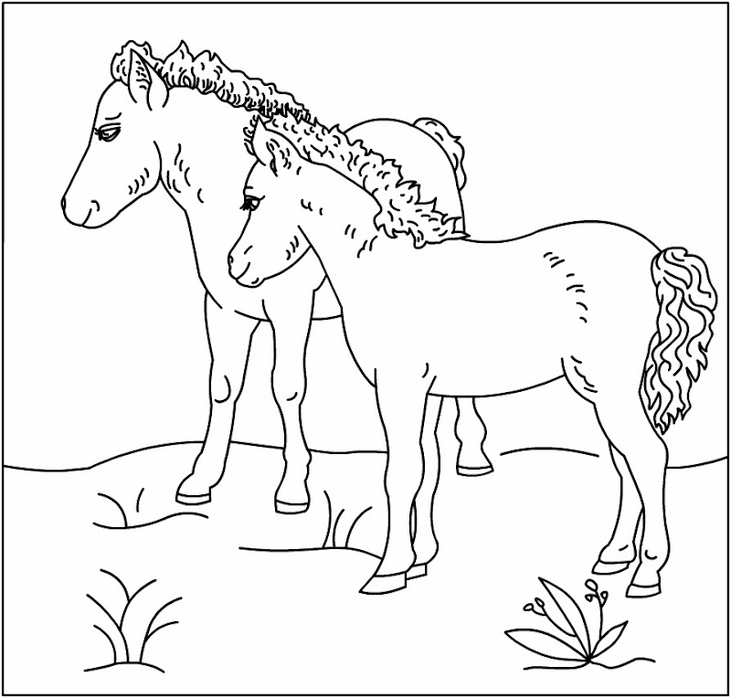 horse with unicorn horse with unicorn horse with unicorn horse with  title=