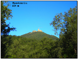 Siguenos en Facebook