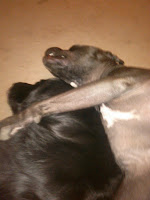 family hold me please, don't let go