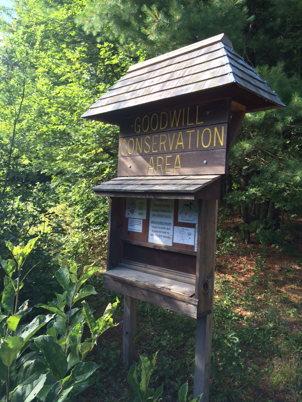 The Freelance Adventurer Winnie The Pooh Trail Perfect For The