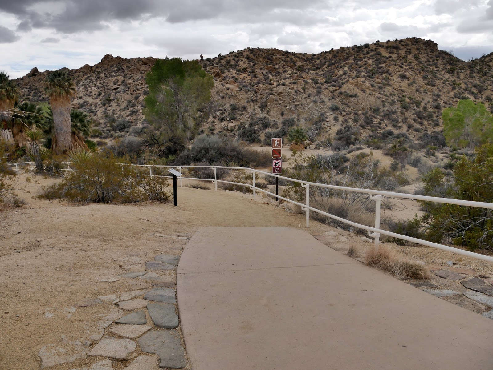 American Travel Journal Cottonwood Spring Joshua Tree National Park