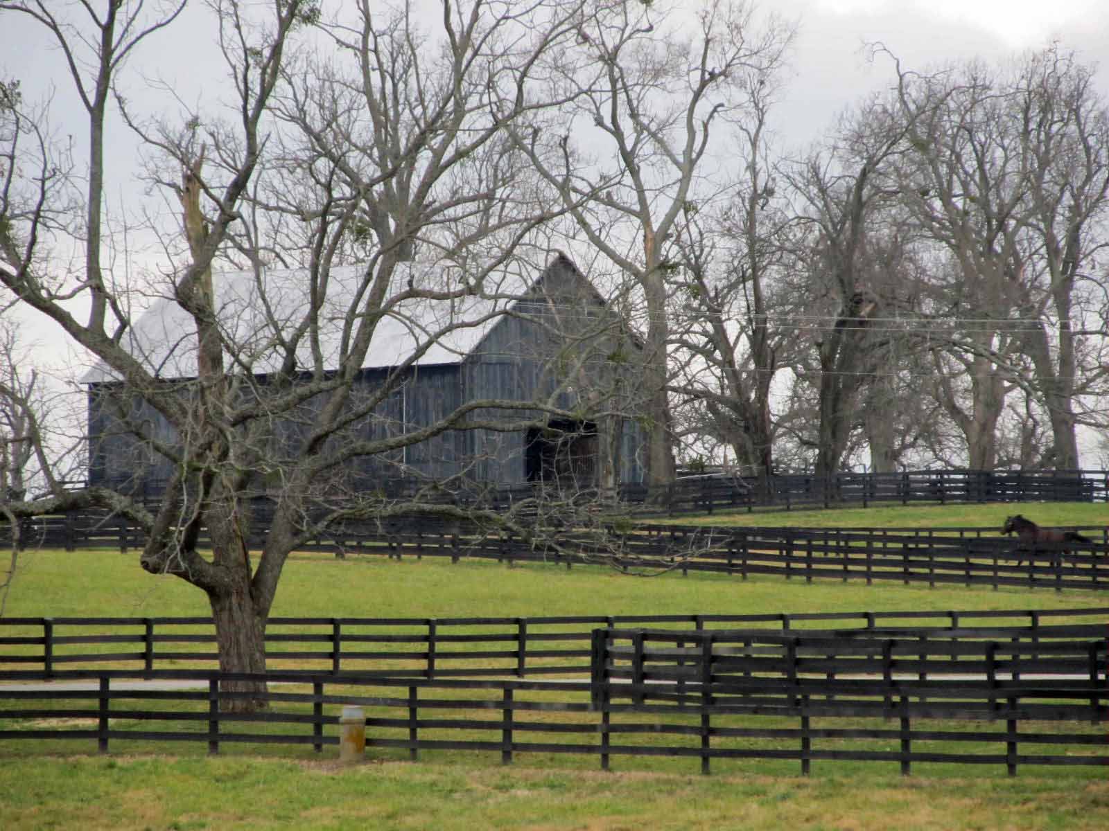 Summit Musings Airdrie Stud FarmNice Work if You Can Get It