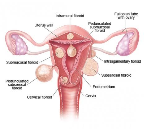 Natural Way To Boost Your Estrogen Natural Way To Boost Your Estrogen