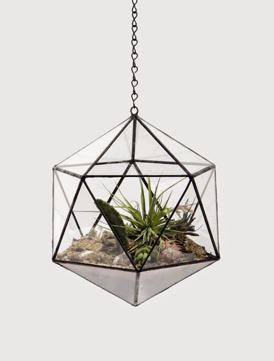 Handmade Hanging And Table top plants Terrariums