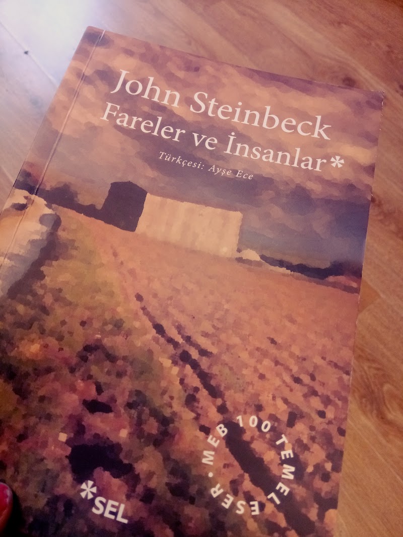 Fareler ve İnsanlar - John Steinbeck -Kitap Yorumu