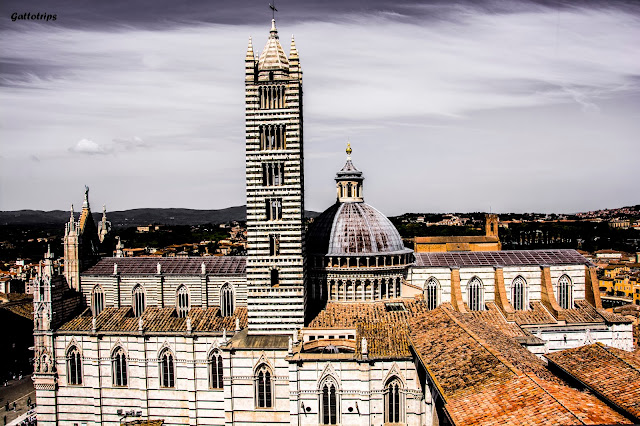 Descubriendo Siena - La Toscana - Rinascita (1)