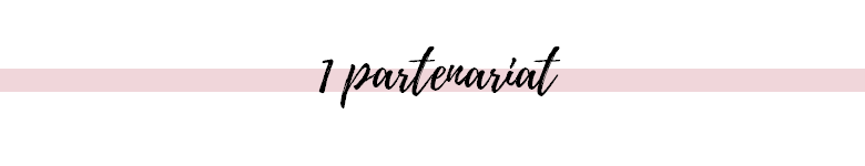 Mon blog en 9 chiffres 1 partenariat