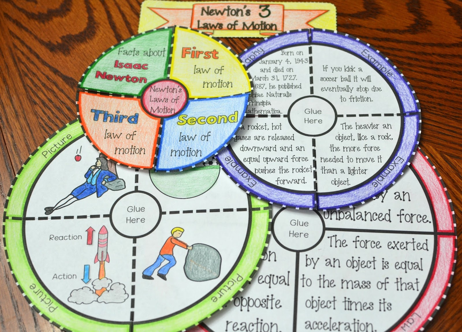 Math in Demand: Newton's 3 Laws of Motion Wheel Foldable (Great for Science  Interactive Notebooks)