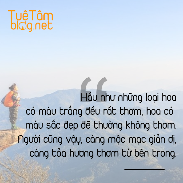 Hầu như những loại hoa có màu trắng đều rất thơm, hoa có màu sắc đẹp đẽ thường không thơm. Người cũng vậy, càng mộc mạc giản dị, càng tỏa hương thơm từ bên trong.