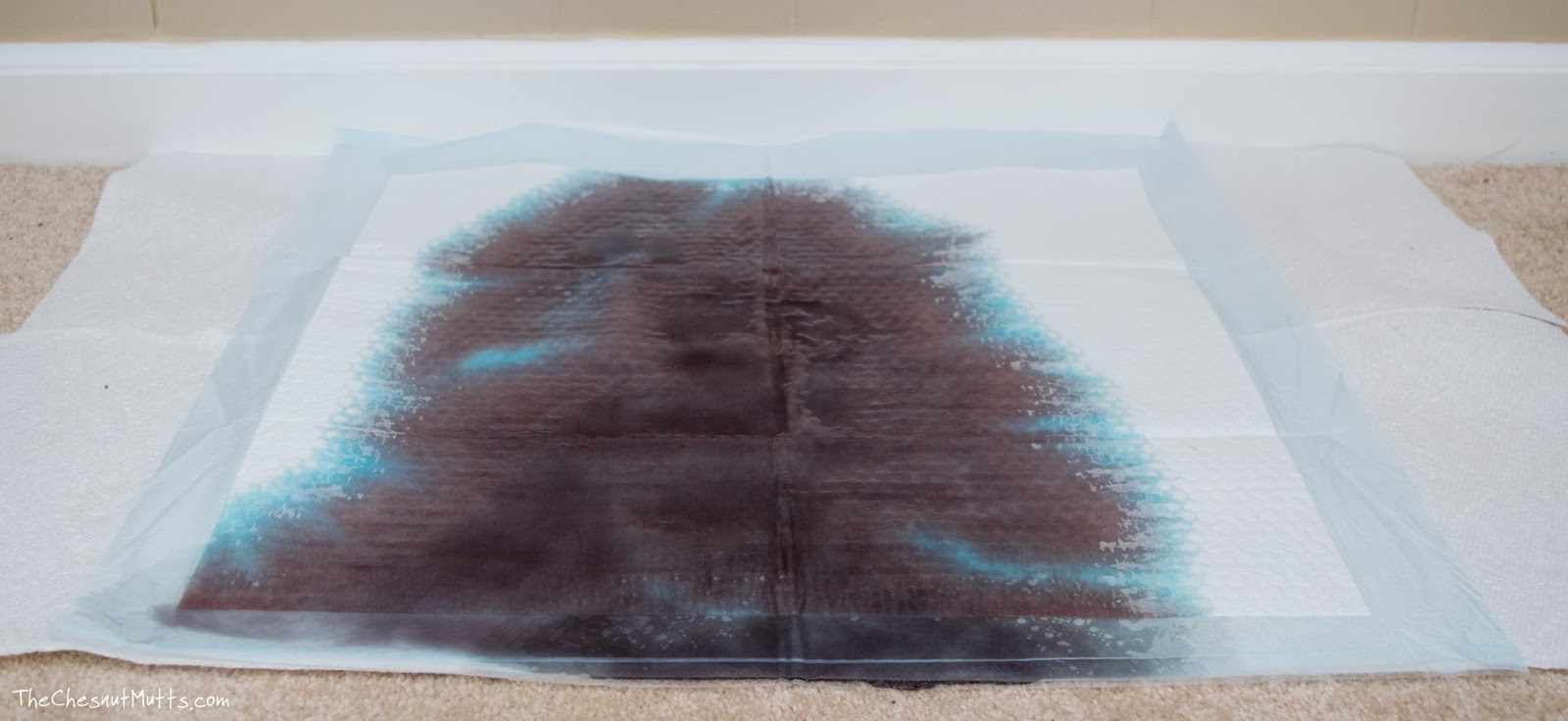 Review & Giveaway WizSmart™ Potty Pads The Smartest Dog Pad on the