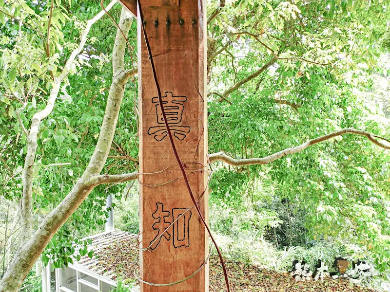 苗栗三義。焉美術行館|藝術與大自然的身心靈合一|附近有軌道自行車景觀