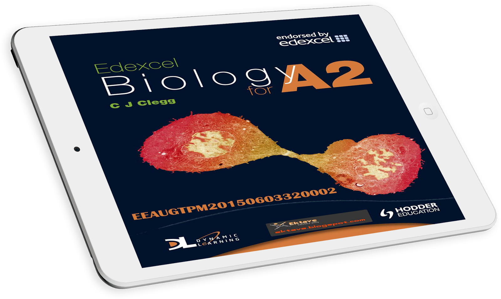 A2 edexcel biology coursework help