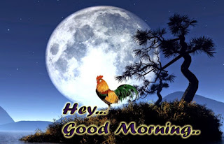 latest sms of good morning, whatsapp status, shayari, good morning wishes, New Good Morning wishes, good morning status facebook zee wiki