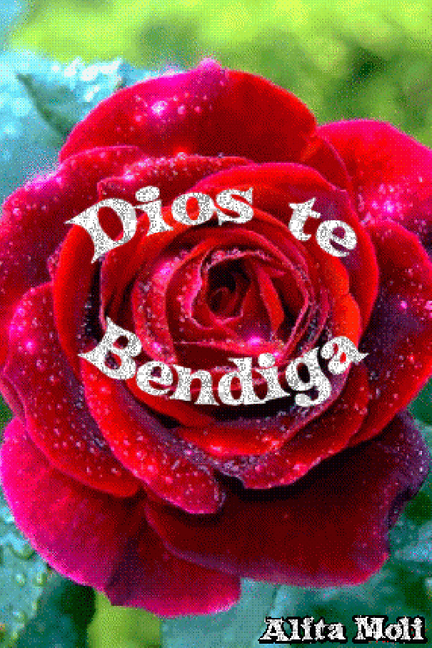 Brotes De Amor Dios Te Bendiga