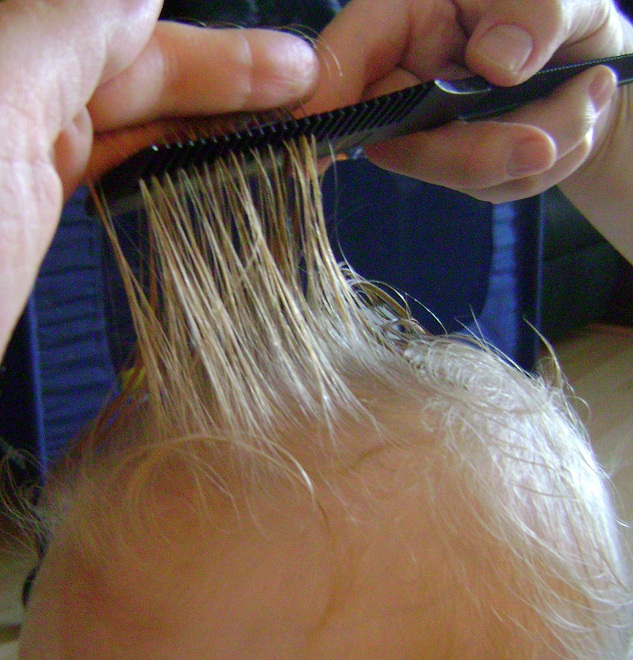 Anything And Everything How To Cut A Baby’s Hair With A Razor Comb