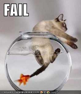 funny+cat+fail+picture+.jpg