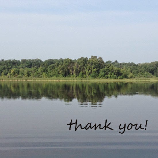 crazy mom quilts August 2014