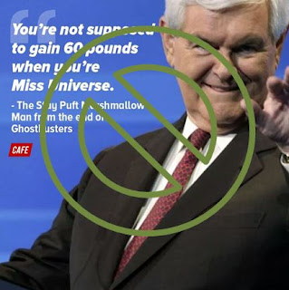 Think Before You Meme- Name Calling Does Not Fix Name Calling - Miss Universe - Don't Be This Guy - Bad Meme - The Sometimes Serious Blog http://www.sometimes-serious.com/2016/10/please-for-love-of-our-nation-think.html