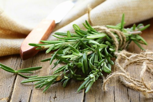 Top 5 infusions pour maintenir une circulation sanguine saine Top 5 infusions pour maintenir une circulation sanguine saine