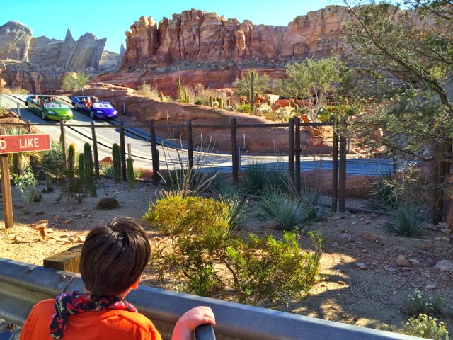 Love That Max : A visit to Cars Land: Life is all downhill after this