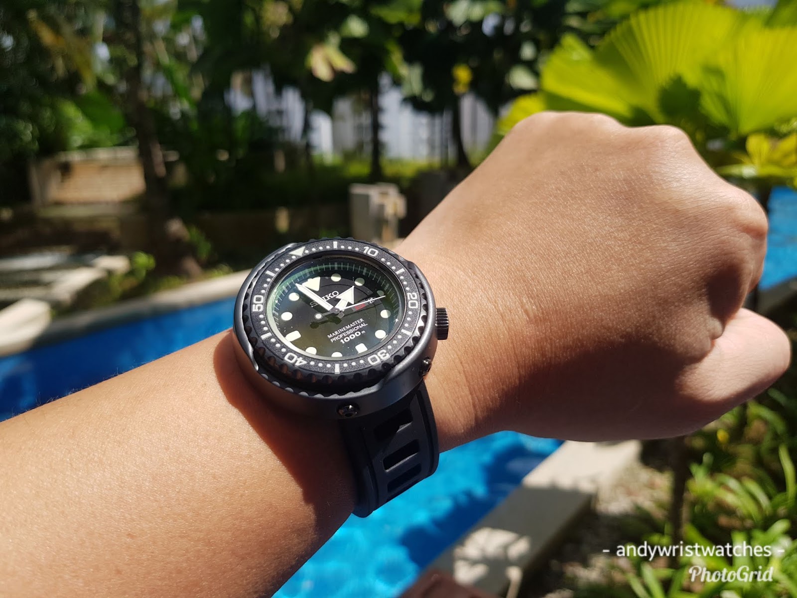 Csegment Wrist Watches Seiko Trivia Seiko Turtle "Apocalypse"