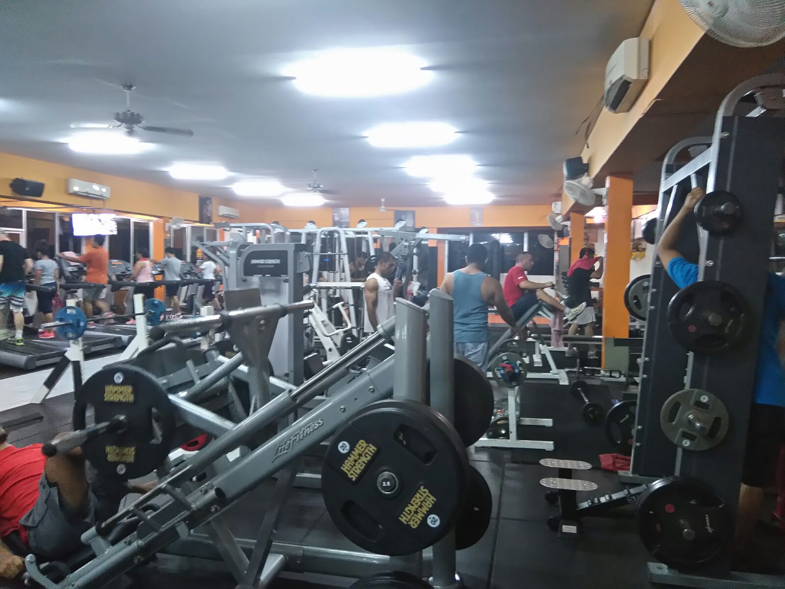 to Gyms of the World Bali, Indonesia HammerHead Gym