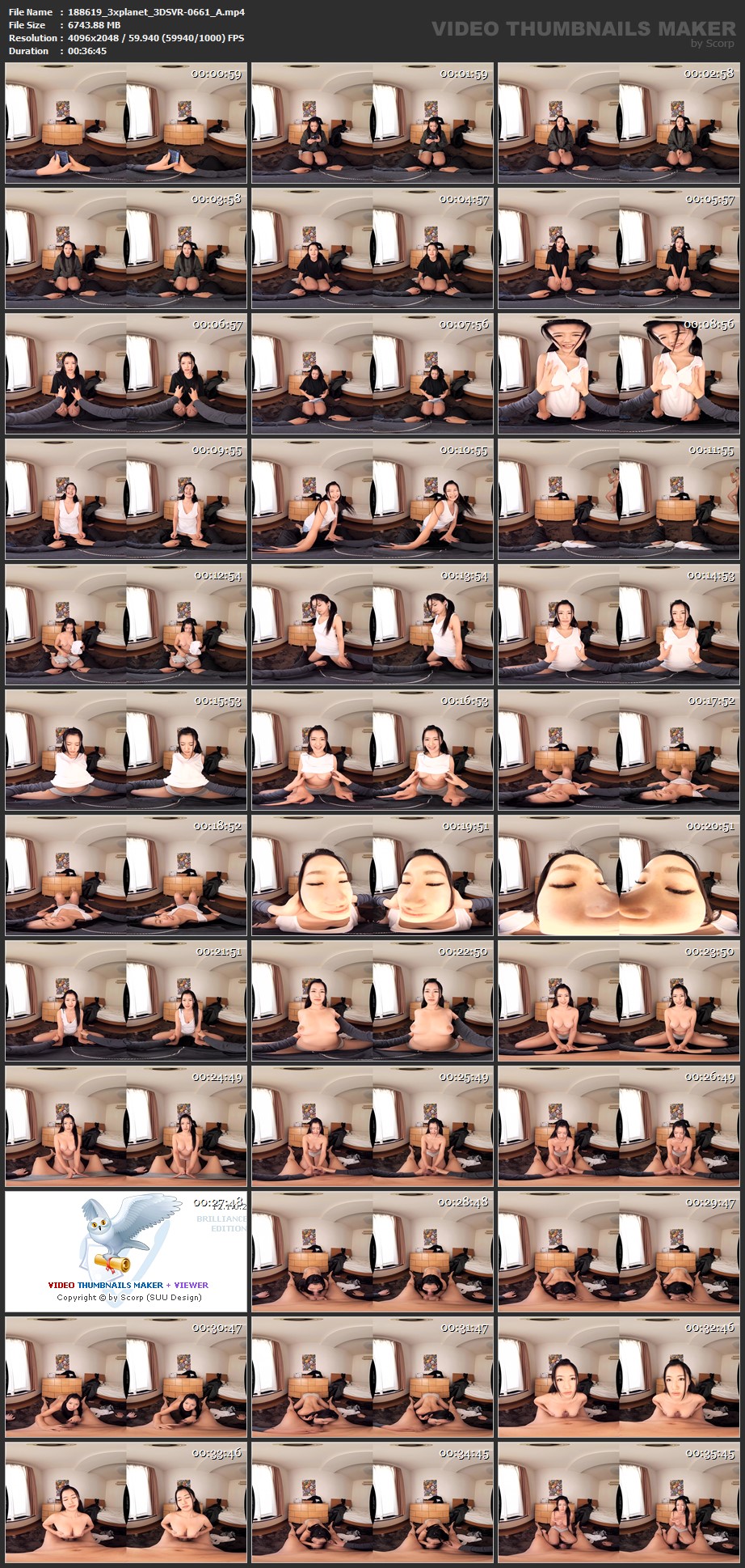 3DSVR-0661_A