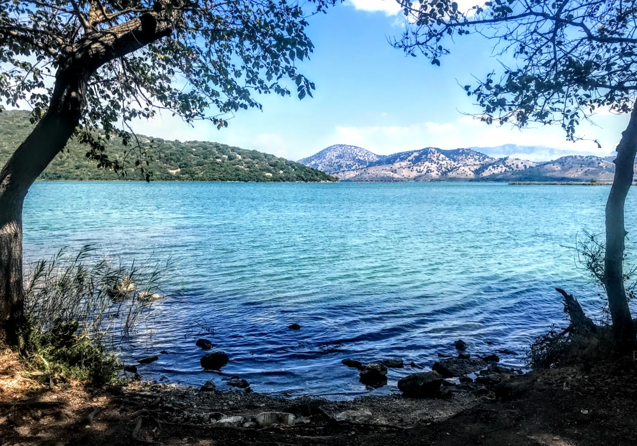 Patrick Comerford Reading Saint Luke’s Gospel in Advent 2019 Luke 5