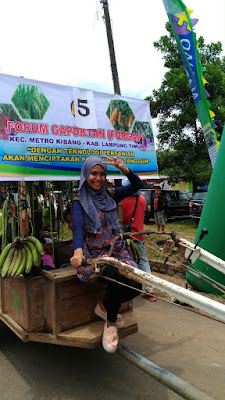 Festival Panen Padi Lampung Timur 2017 