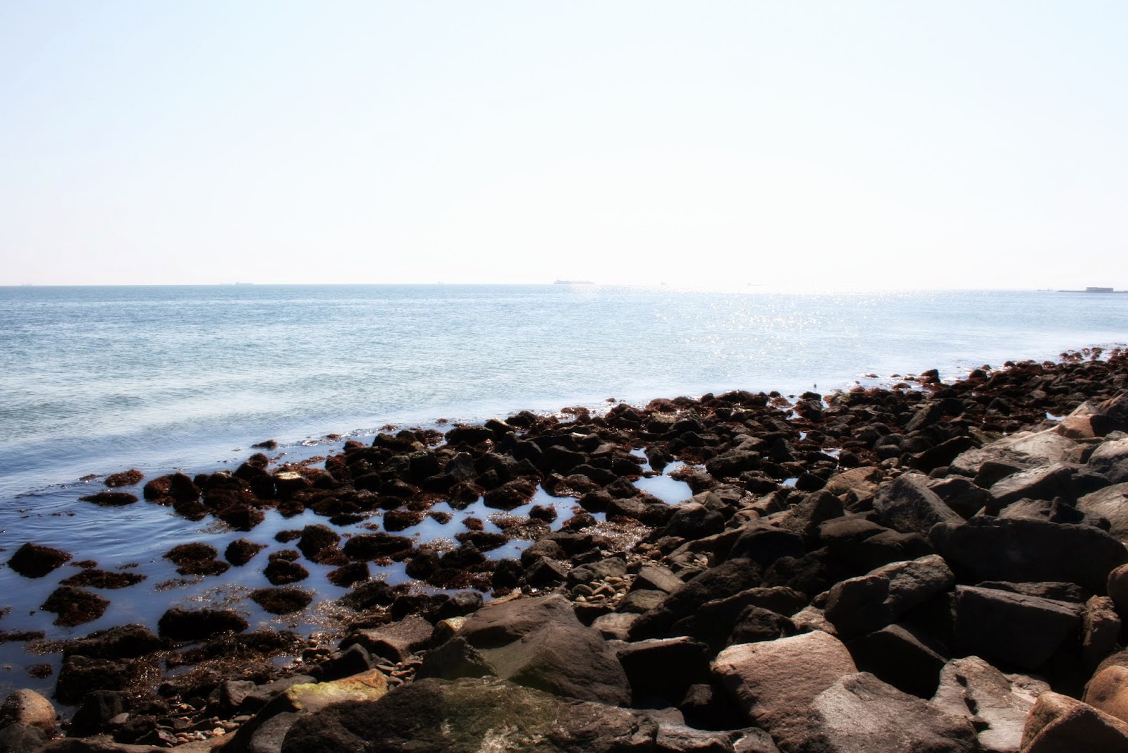 La costa danesa Costa danesa