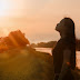 El Increíble Secreto de la Felicidad que Cambiará tu Vida