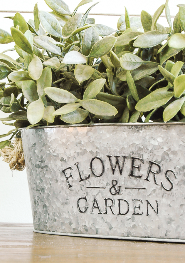 Dollar tree plant pots information