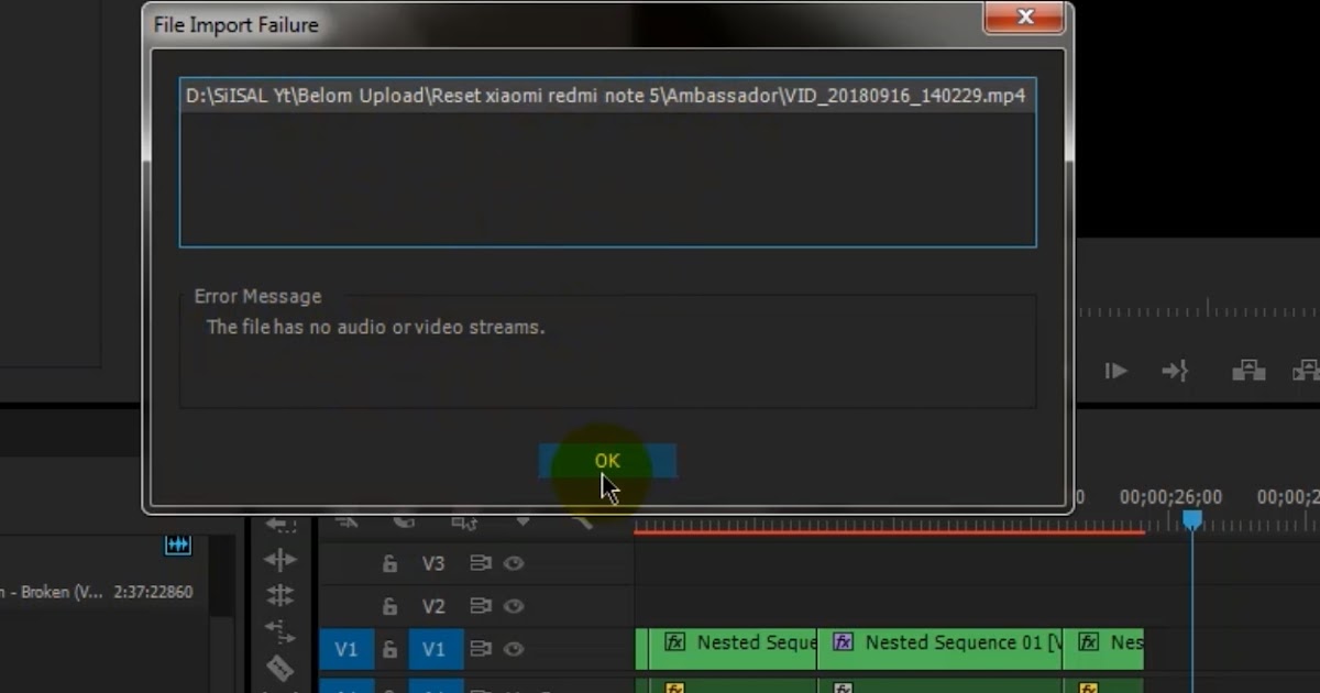 File import failure premiere pro kasapdigital
