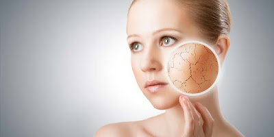 Cinnamon Skin Benefits Cinnamon Skin Benefits