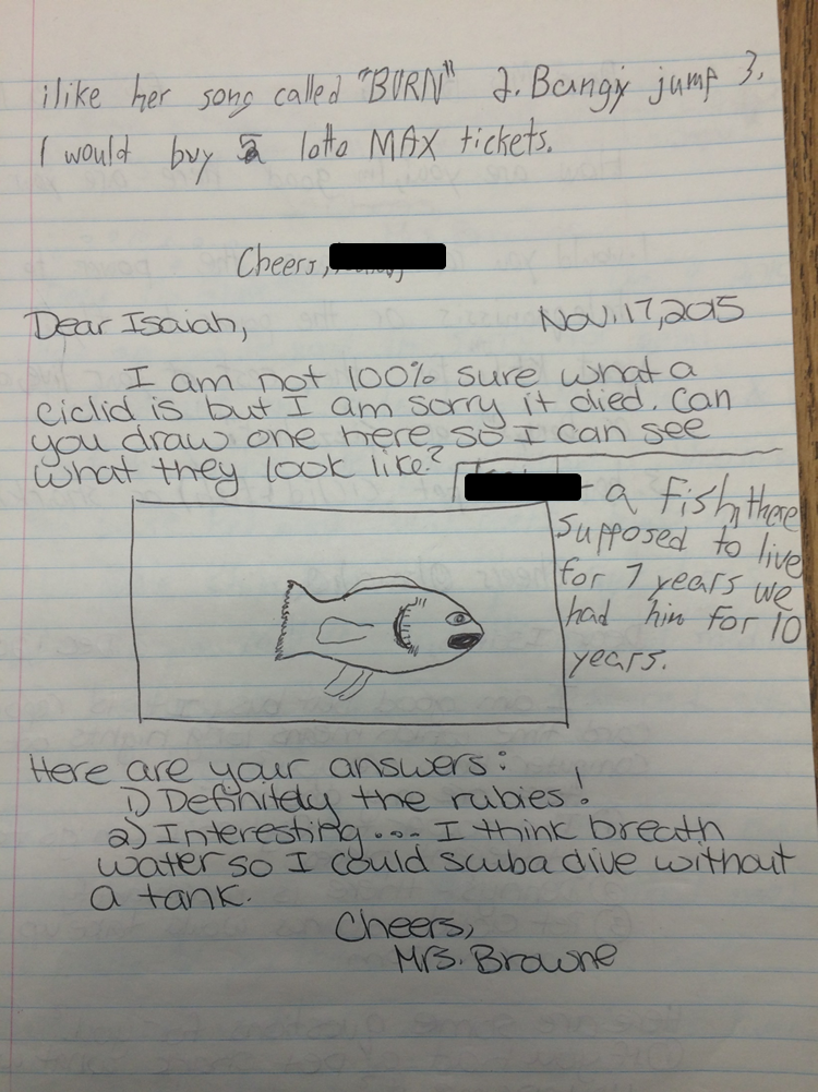 Terri's Teaching Treasures: Journal Writing in Intermediate Grades