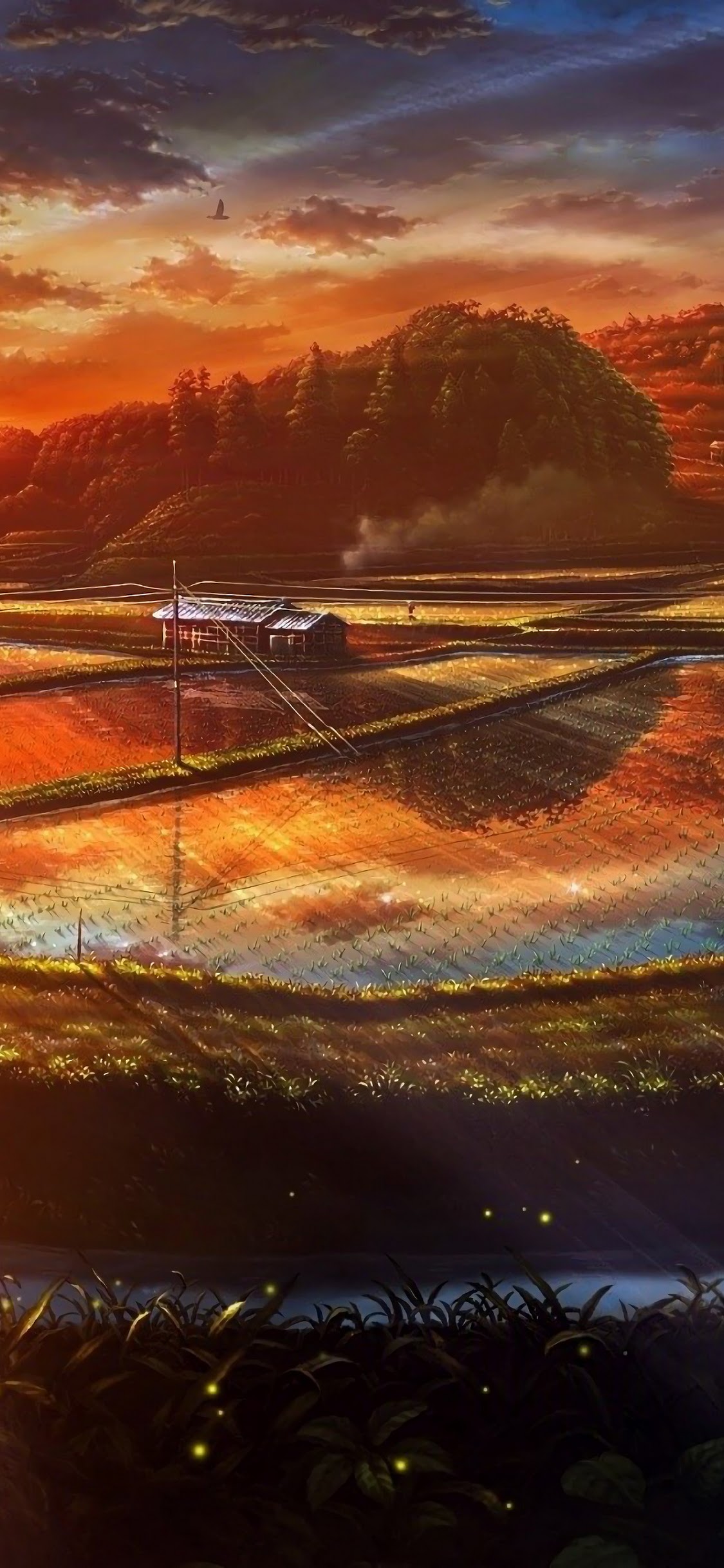 Sunset Paddy Field Nature Scenery Landscape Anime 4k Wallpaper 109