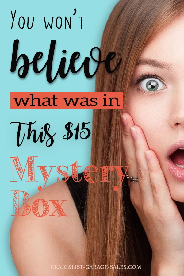GARAGE SALE FINDS You won't believe what was in this 15 mystery box(01)