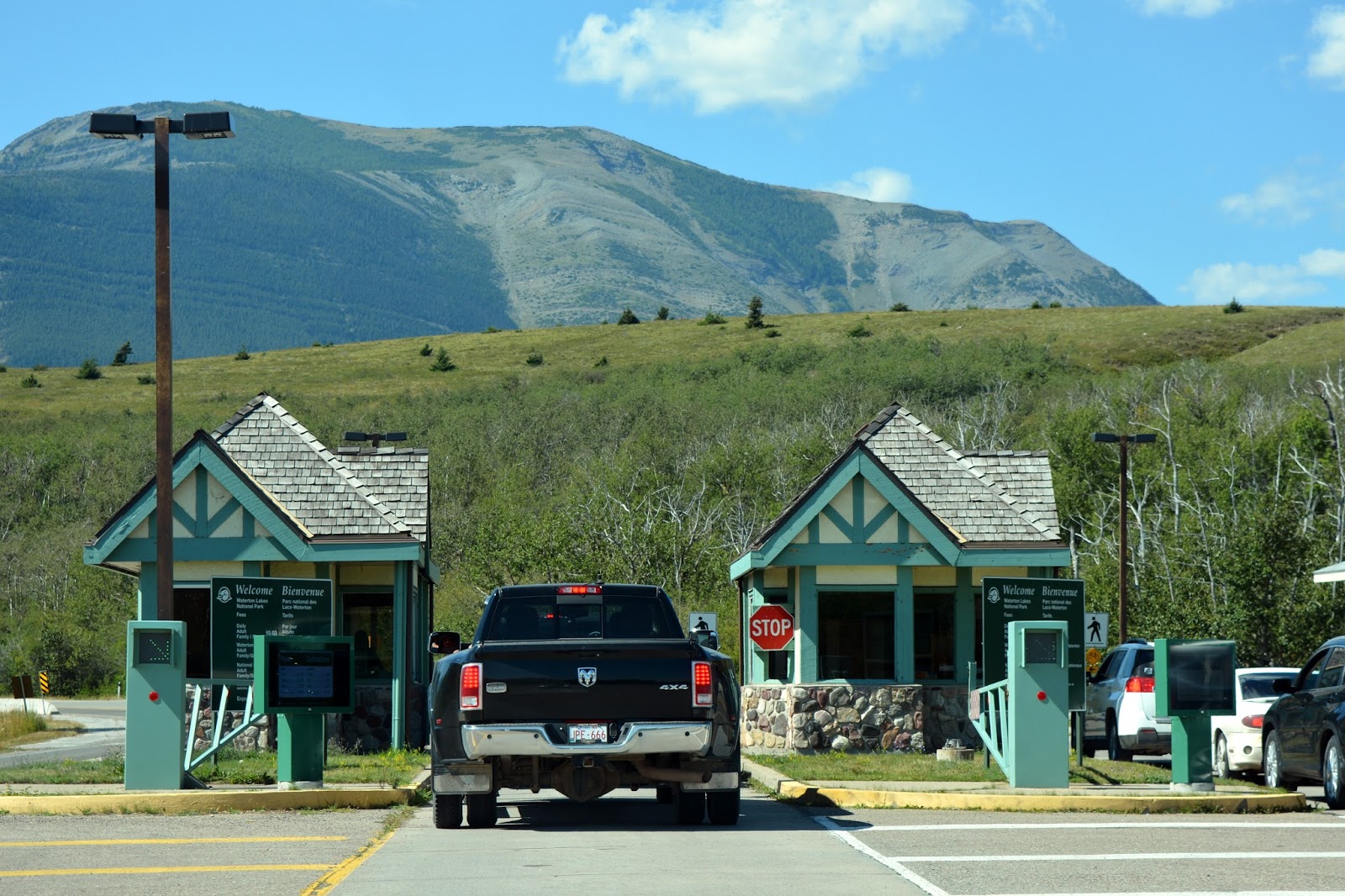 Mille Fiori Favoriti WatertonGlacier International Peace Park