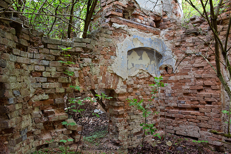 Zasów,podkarpacie,ruiny,dwór,opuszczone,park dworski