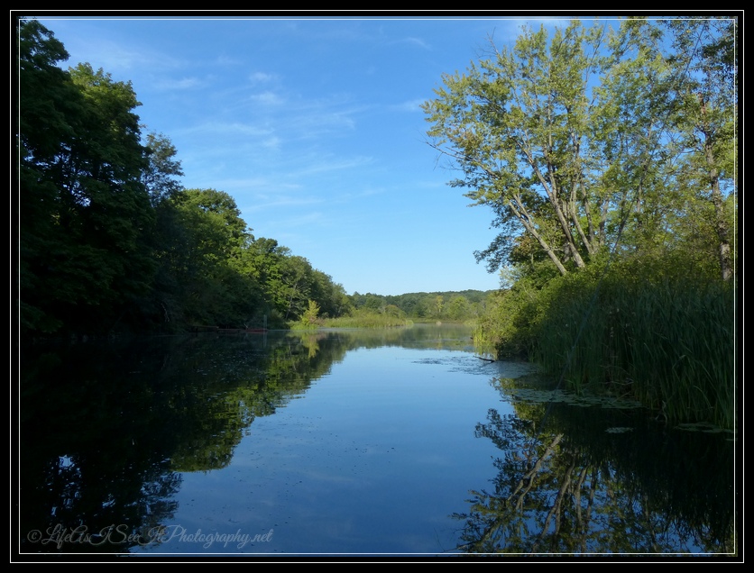 Fish Creek, Saratoga Springs NY